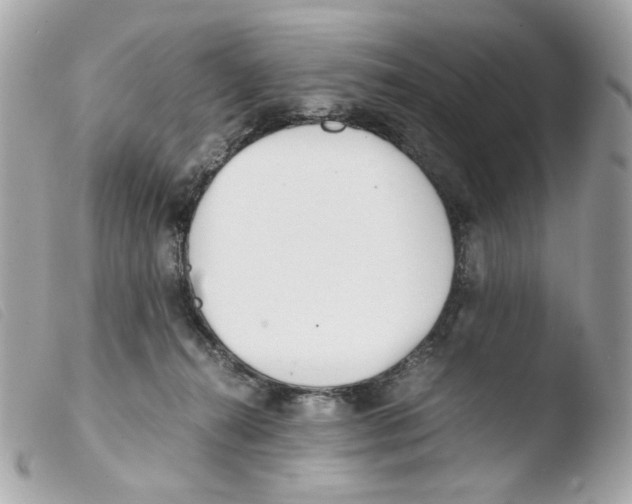 X0000103480272200810101006