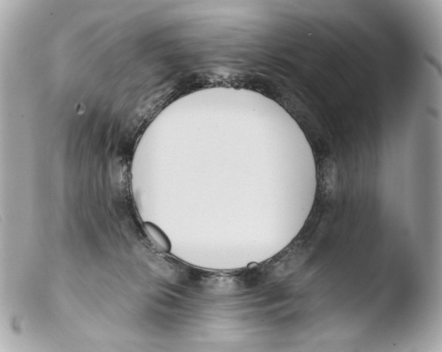X0000103480276200810101006