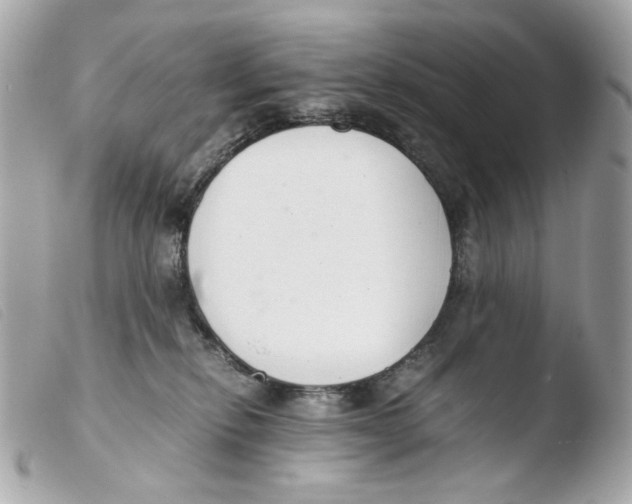 X0000103480278200810101006