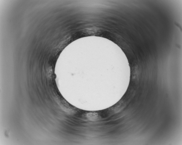 X0000103480279200810101006