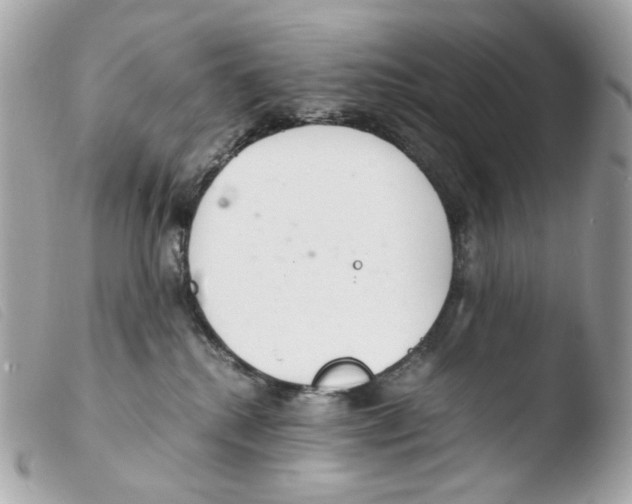 X0000103480280200810101006