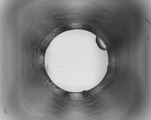 X0000103480281200810101006