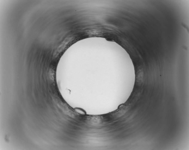 X0000103480282200810101006