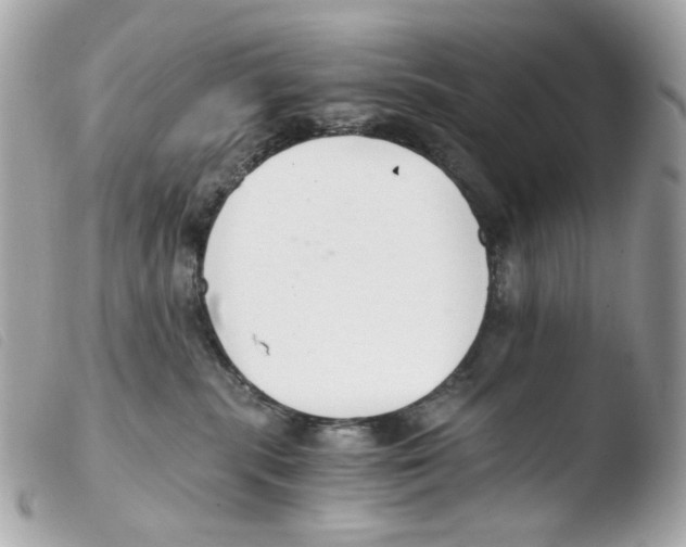 X0000103480283200810101006