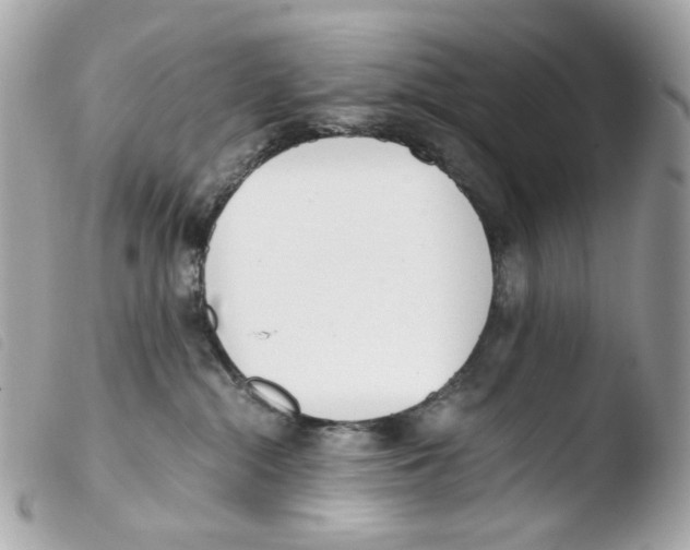 X0000103480284200810101006
