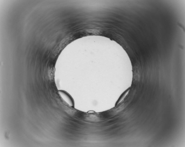 X0000103480285200810101006