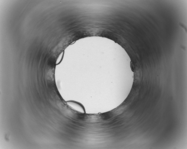 X0000103480286200810101006