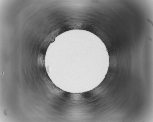X0000103480287200810101006