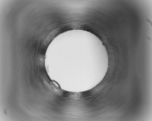 X0000103480288200810101006