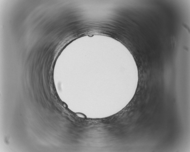 X0000103480289200810101006