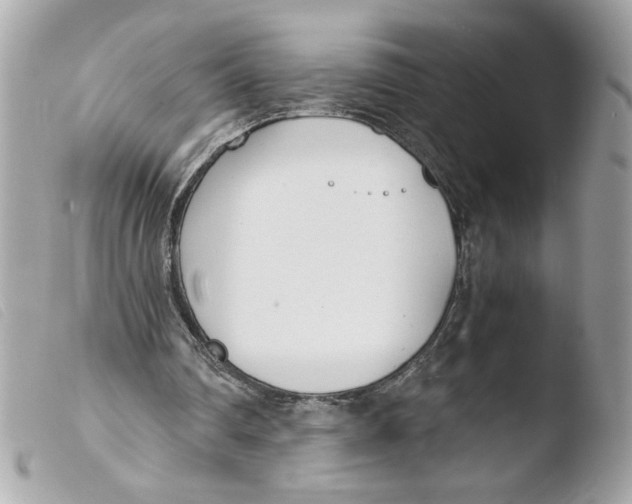X0000103480290200810101006