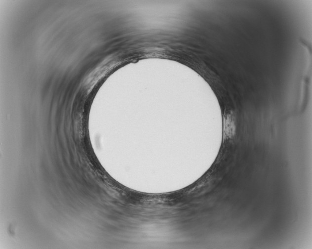 X0000103480291200810101006