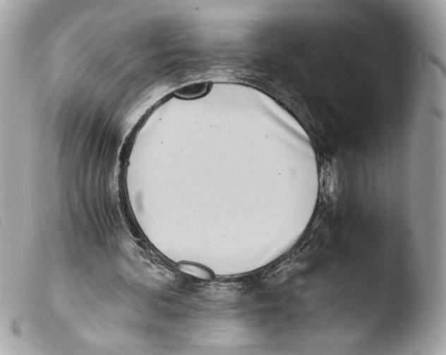 X0000103480292200810101006