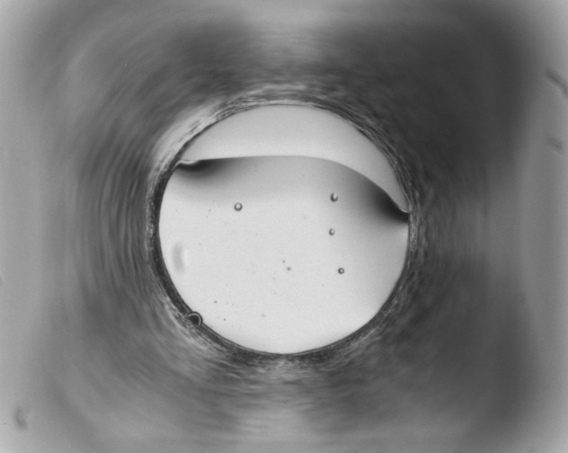X0000103480293200810101006