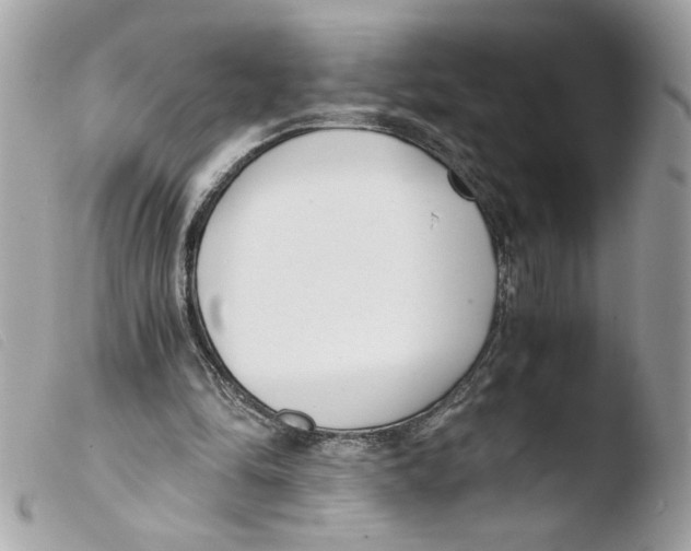 X0000103480294200810101006