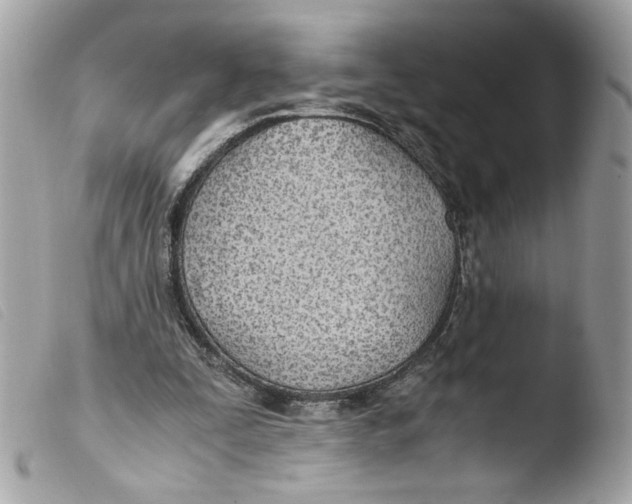 X0000103480295200810101006