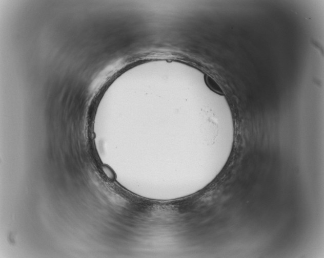 X0000103480296200810101006
