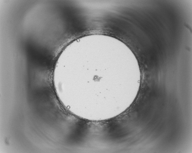 X0000103480297200810101006
