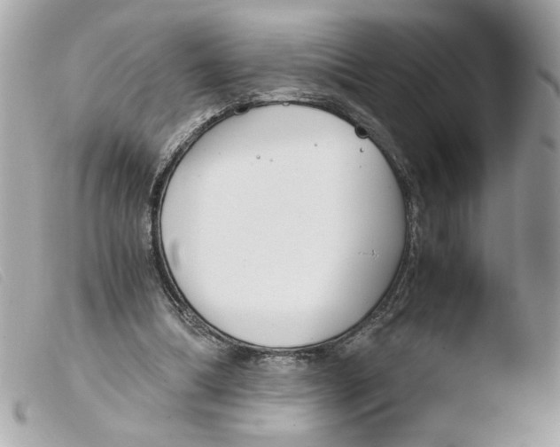 X0000103480298200810101006