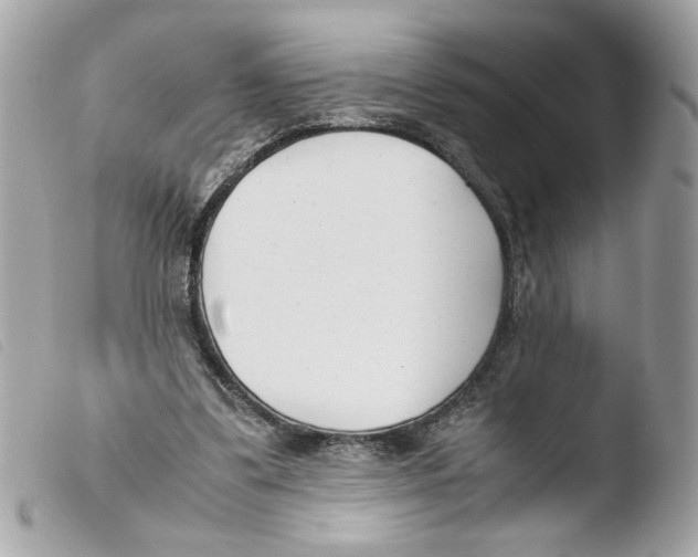 X0000103480299200810101005