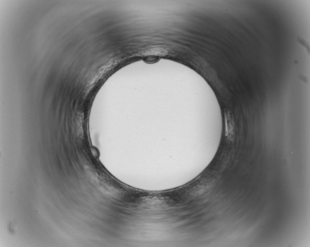 X0000103480300200810101005