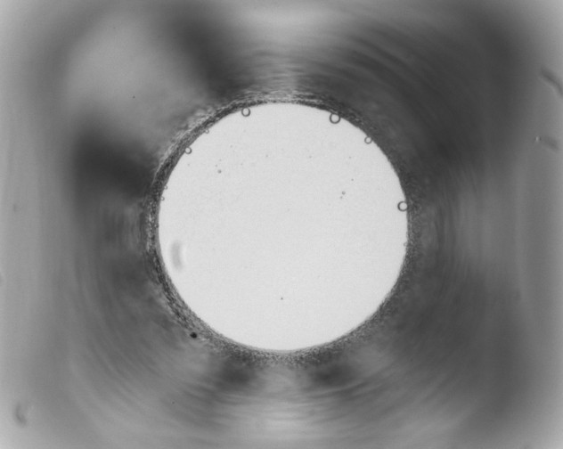 X0000103480301200810101005