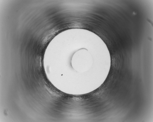 X0000103480302200810101005