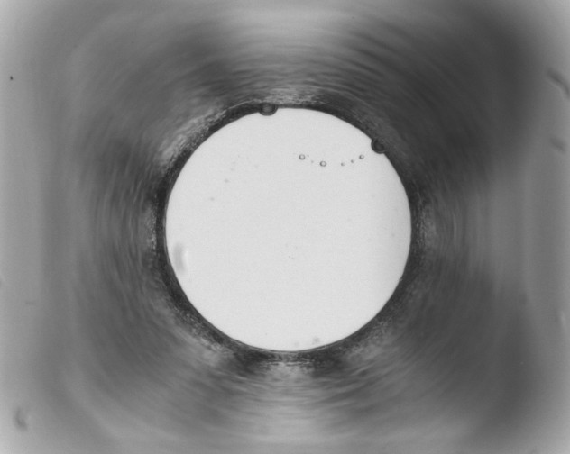 X0000103480303200810101005