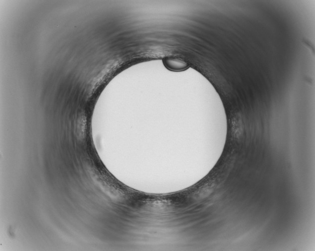 X0000103480304200810101005