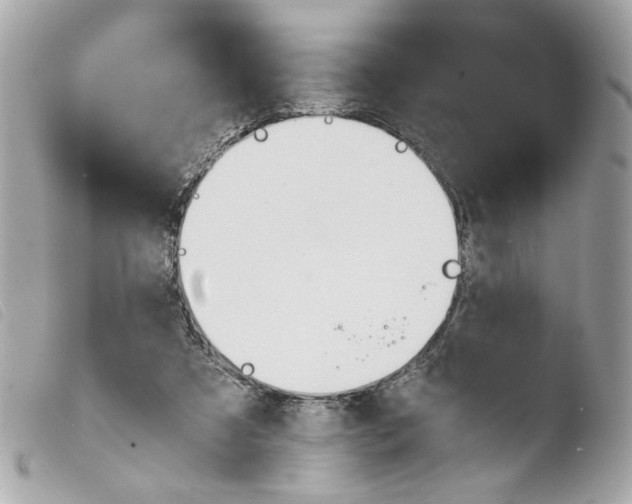 X0000103480305200810101005