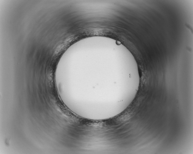 X0000103480306200810101005