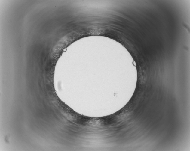 X0000103480307200810101005
