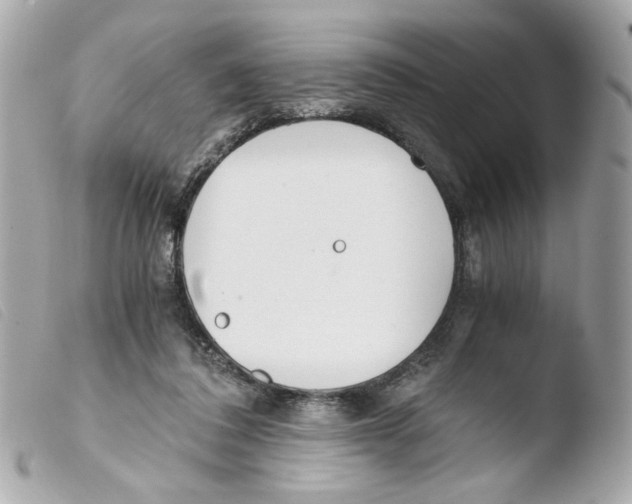 X0000103480308200810101005