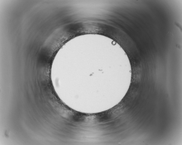 X0000103480309200810101005