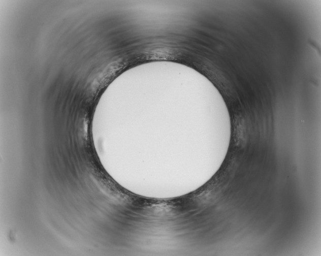 X0000103480310200810101005