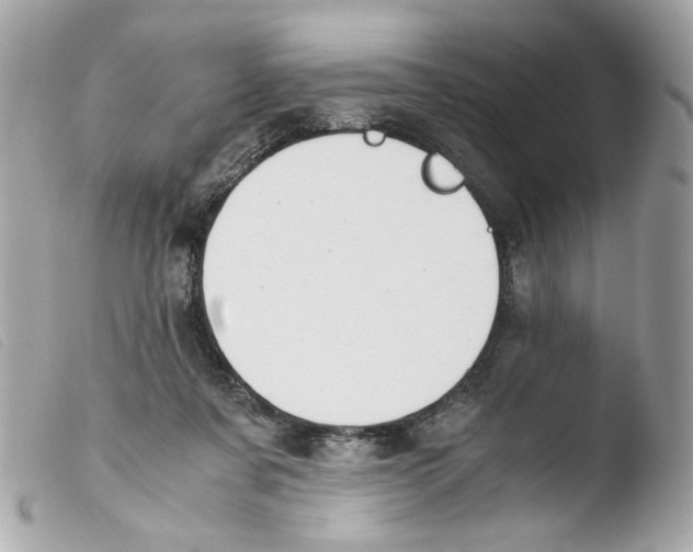X0000103480311200810101005