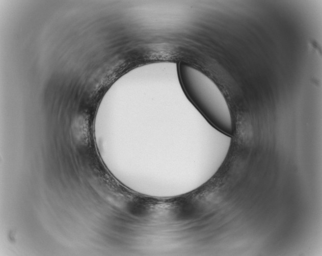 X0000103480312200810101005