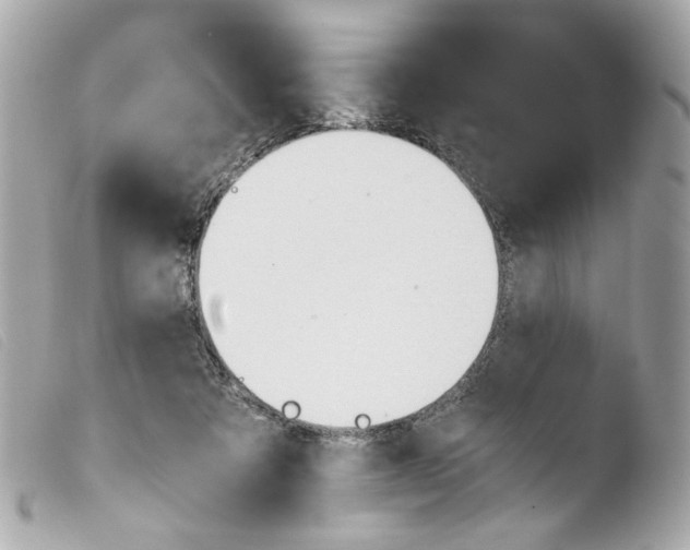 X0000103480313200810101005