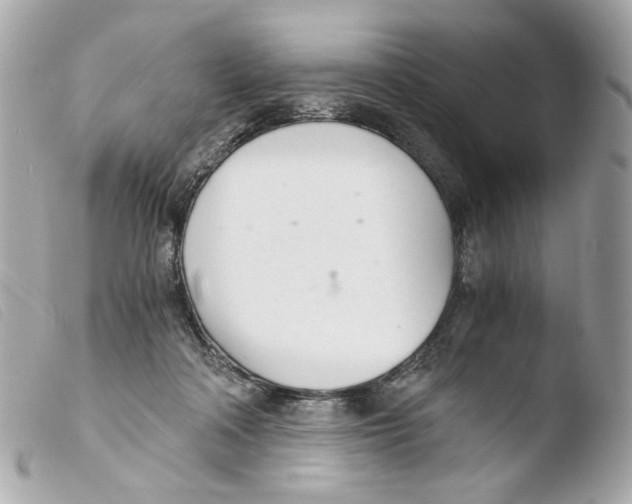 X0000103480314200810101005