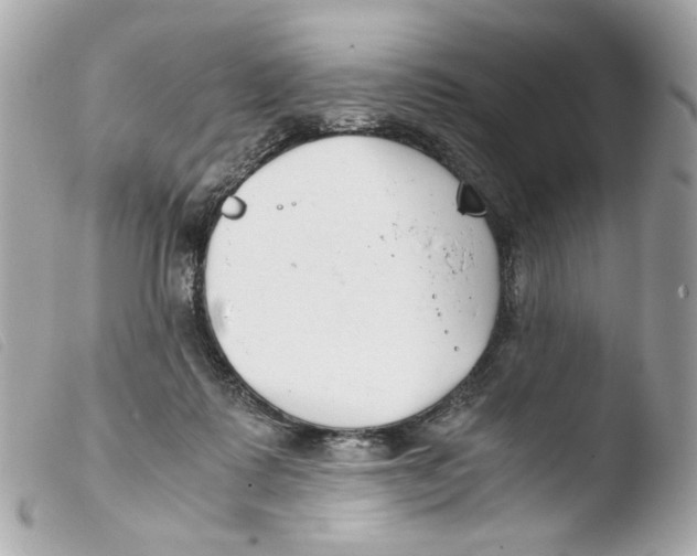 X0000103480315200810101005