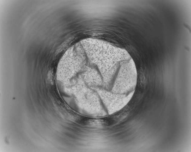 X0000103480316200810101005