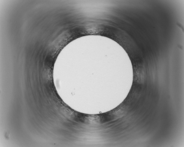 X0000103480317200810101005