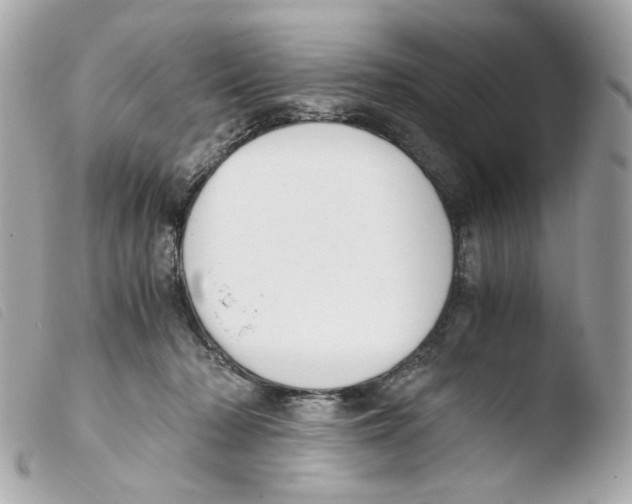 X0000103480318200810101005