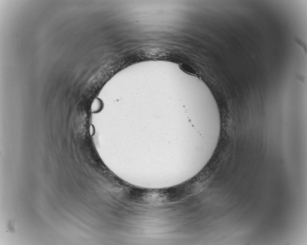 X0000103480319200810101005