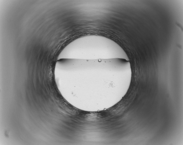 X0000103480320200810101005