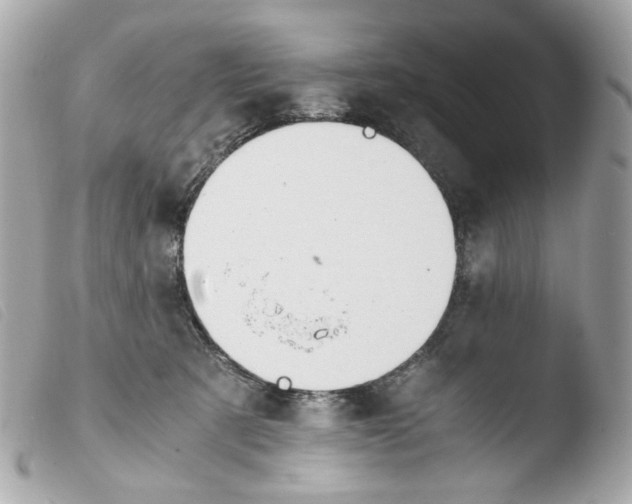 X0000103480321200810101005