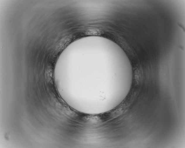 X0000103480322200810101005