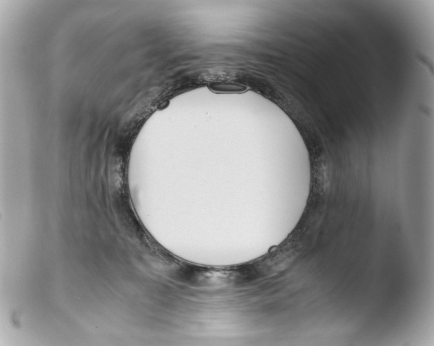X0000103480323200810101005