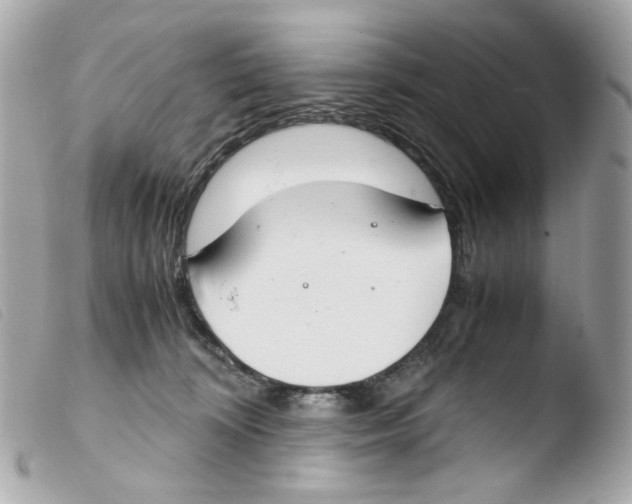 X0000103480324200810101005