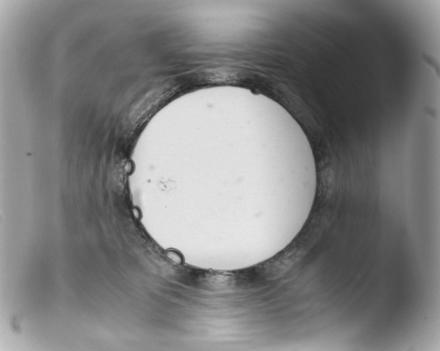 X0000103480325200810101005